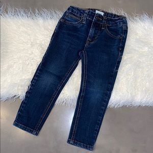 Hudson dark wash skinny jean